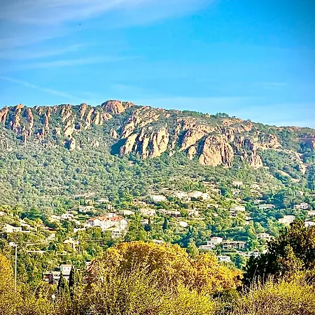 Les Oliviers De L'esterel
