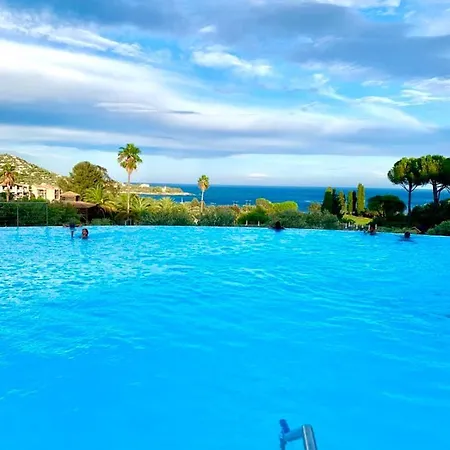 Les Oliviers De L'esterel