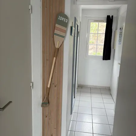 Les Oliviers De L'esterel