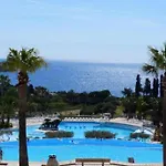 Les Oliviers De L'esterel *