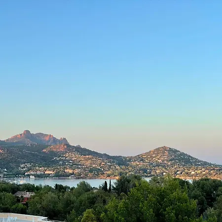Les Oliviers De L'esterel * Saint-Raphaël
