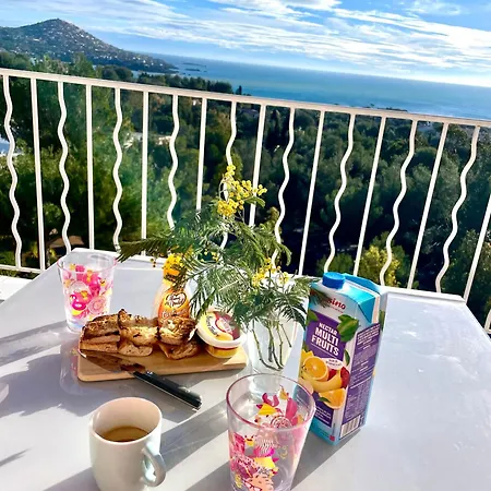 Les Oliviers De L'esterel *