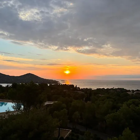 Les Oliviers De L'esterel * Saint-Raphael (Var)