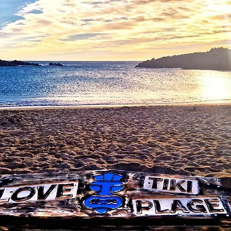 Les Oliviers De L'esterel