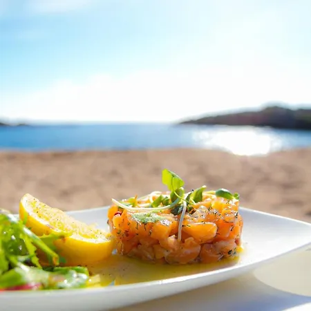 Les Oliviers De L'esterel *