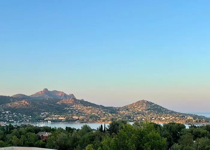 Les Oliviers De L'esterel * Saint-Raphaël