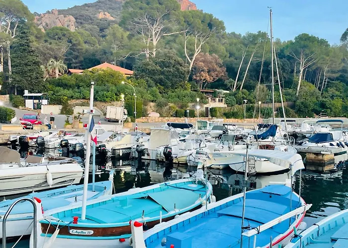 Les Oliviers De L'esterel Apartment *