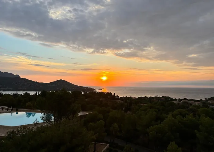 Les Oliviers De L'esterel * Saint-Raphaël