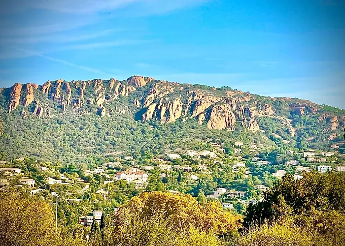 Les Oliviers De L'esterel