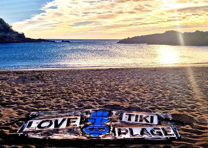 Les Oliviers De L'esterel