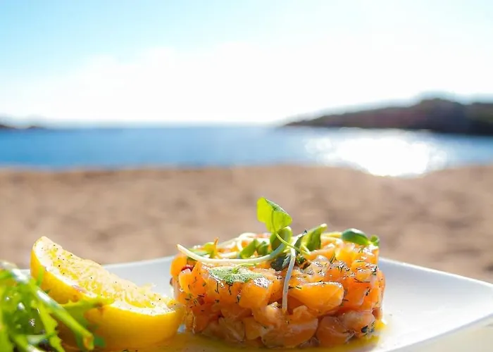 Les Oliviers De L'esterel *