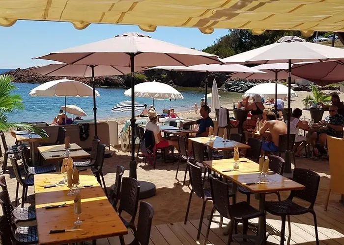 Apartment Les Oliviers De L'esterel *