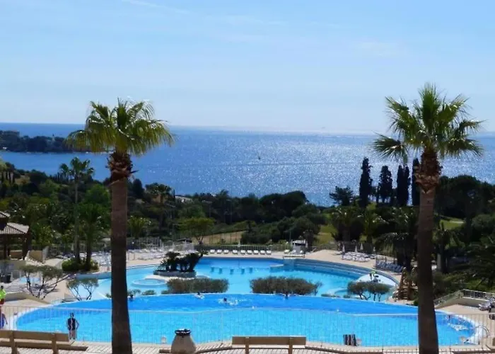 Les Oliviers De L'esterel *