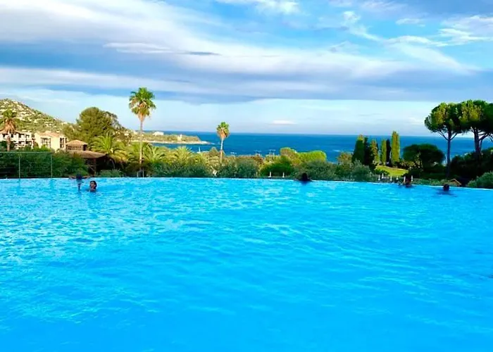 Les Oliviers De L'esterel